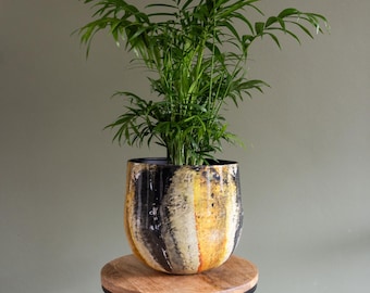 May include: A green potted plant with long leaves in a black, yellow, and orange striped ceramic pot on a wooden and black metal stand.