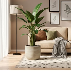 Handmade Ceramic Plant Pot: Off-White Sevilla Planter, Minimalist Decor, d15cm-d33cm