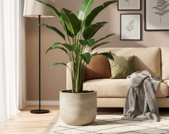Handmade Ceramic Plant Pot: Off-White Sevilla Planter, Minimalist Decor, d15cm-d33cm