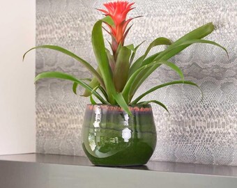 Green Ceramic XL Plant Pot - Handmade Charlotte Retro Glazed Pot