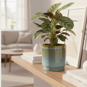 Sense Handmade Reactive Glaze Plant Pot: Jade Blue Ceramic Planter, multiple sizes, cylinder plant pot, d21cm-d29cm, Christmas gift