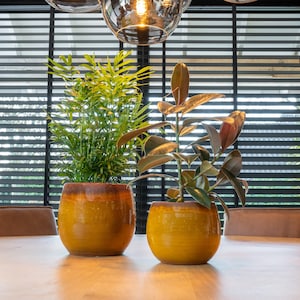 Ochre Glazed Ceramic Plant Pot - Charlotte Indoor Planter, Sizes (D33cm, D30cm, D23cm, d19cm, d15cm)