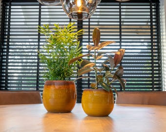 Ochre Glazed Ceramic Plant Pot - Charlotte Indoor Planter, Sizes (D33cm, D30cm, D23cm, d19cm, d15cm)