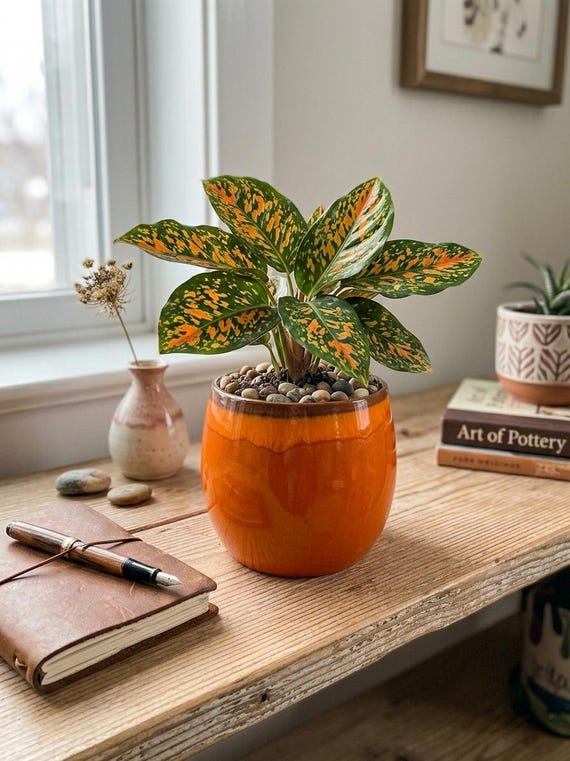 Handmade Orange XL Ceramic Plant Pot: Charlotte Orange Retro Indoor Planter, (D16cm-D33cm)