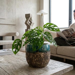 Handmade Emerald Green & Black Ceramic Plant Pot: Indoor Planter (16 cm- 30 cm)