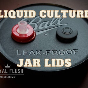 Liquid Culture Jar Lid - Autoclavable PP5