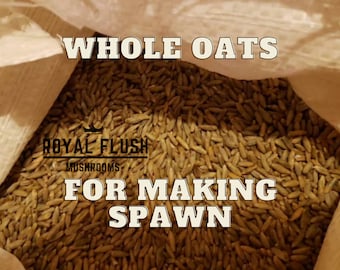 10lbs. Whole Oats For Spawn Making