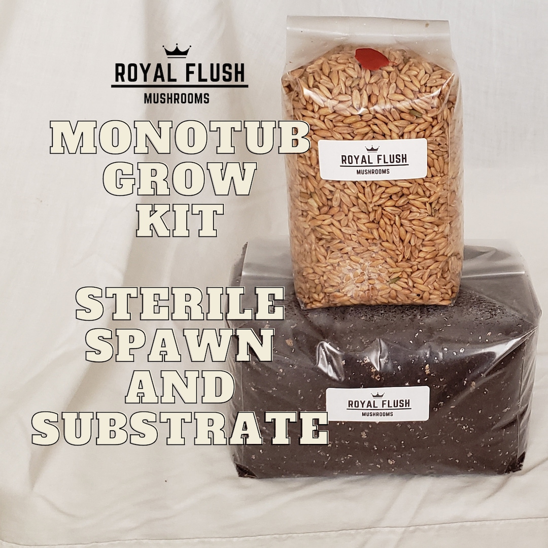 Monotub Kit - CVG Substrate, Sterile Grain Spawn - Injection Port - Etsy