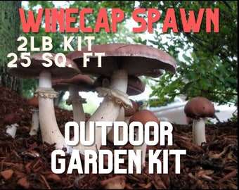 Kit de culture Winecap Garden Spawn 2 lb