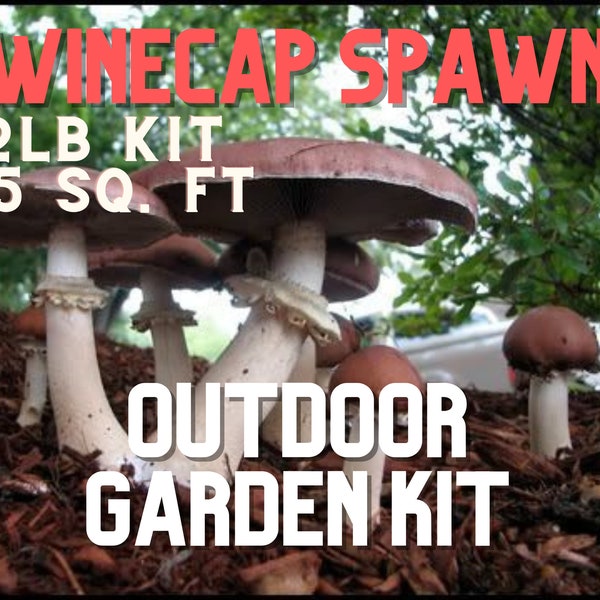 Winecap Garden Spawn Grow Kit 2lb