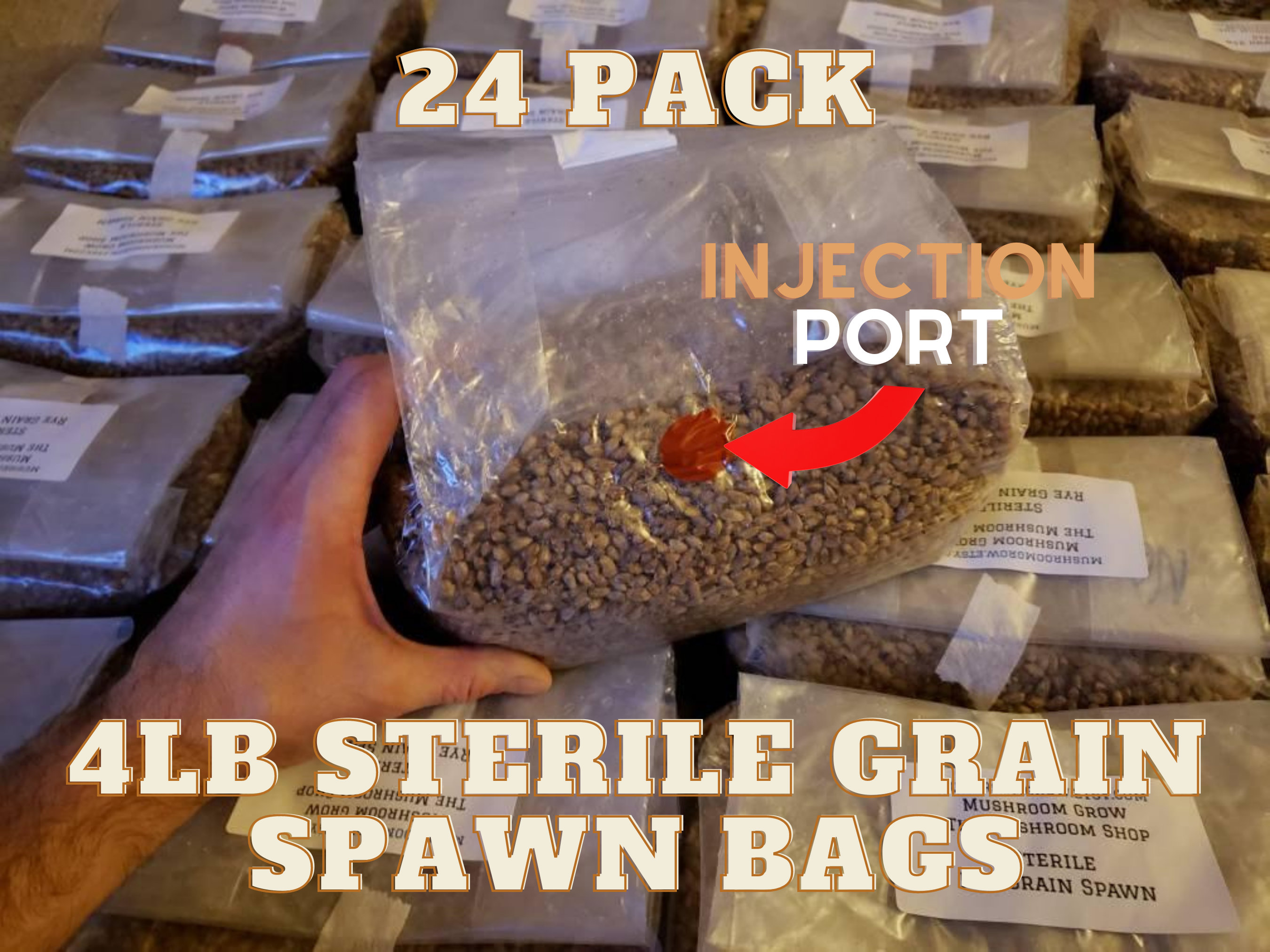 24Pack of 4lb Grain Spawn Bags With Injection Ports and Etsy