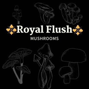 18 Liquid Cultures - Bundle