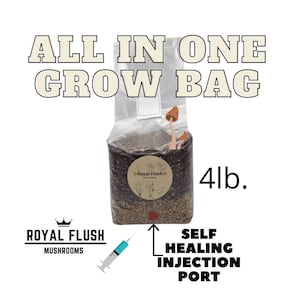 All In One CVG Grow Bag 4 Pack - Gluten-Free