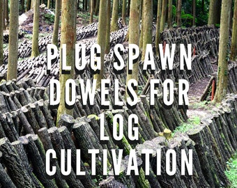 Mushroom Plug Spawn Dowels - Gluten-Free - Easy to Grow