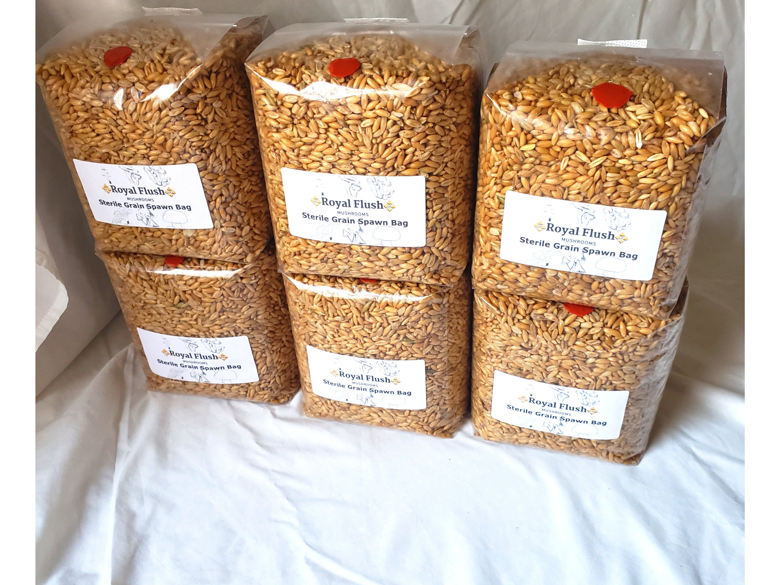 6 Pack of Sterile Grain Spawn Bags With Injection Ports 4lb Etsy Canada
