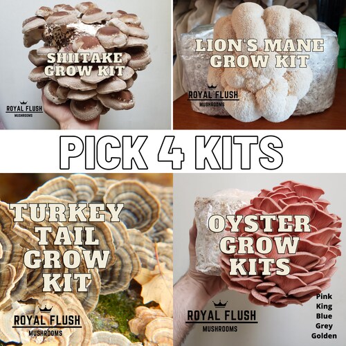 4 Mushroom Grow Kit Bundle - Choose 4