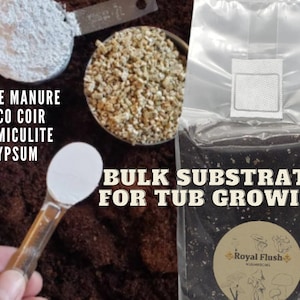 Könnte beinhalten: Ein transparenter Plastikbeutel gefüllt mit einem dunkelbraunen Substrat mit der Aufschrift "BULK SUBSTRATE FOR TUB GROWING" mit einem weißen Etikett, auf dem "Royal Flush" und eine Pilzgrafik stehen. Der Beutel liegt auf einer braunen Oberfläche mit vier Messbechern, die weißes Pulver, braunes Kokos, weißes Pulver und weißes Pulver enthalten. Der Text "HORSE MANURE COCO COIR VERMICULITE GYPSUM" ist auf die Oberfläche geschrieben.