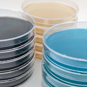 Pre-Poured Agar Petris With Parafilm