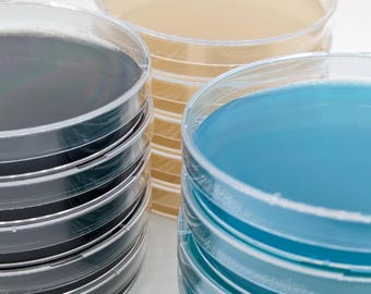 May include: A stack of clear plastic petri dishes with a light brown, dark gray, and light blue liquid inside.