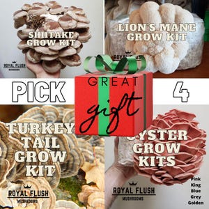 4 Mushroom Grow Kit Bundle - Choose 4 - Great Gift Idea