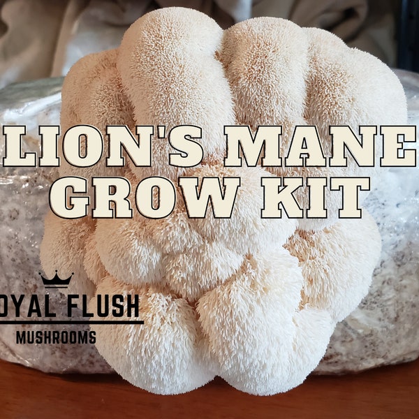 Lions Mane Grow Kit Etsy