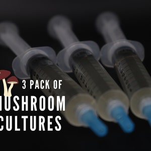 3 Gourmet Mushroom Cultures - FREE SHIPPING - 30 Kinds