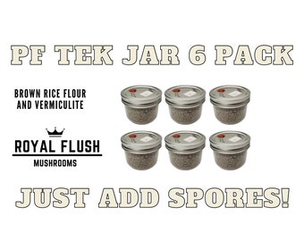 PF Tek Jar - Paquete de 6 - Con puertos de inyección y filtros de aire