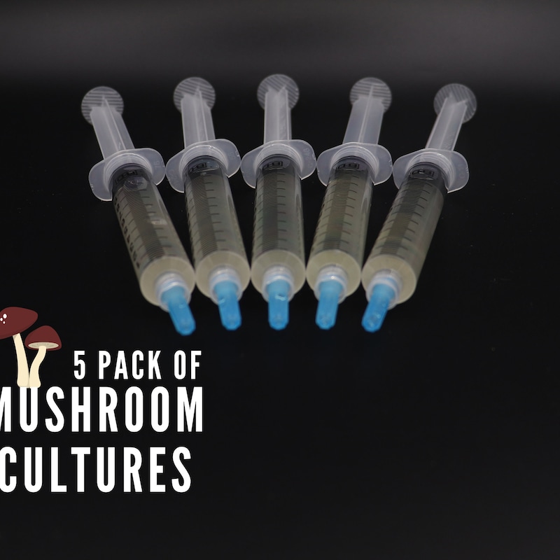 Shrooms Q Teen Stepsis Shrooms Q Needs Icing From Stepbro for Bake Sale