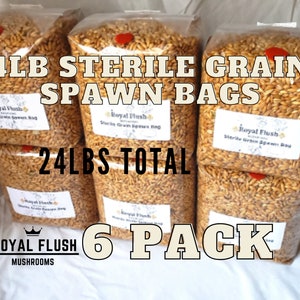 6 Pack of Sterile Grain Spawn Bags with Injection Ports - 24lbs