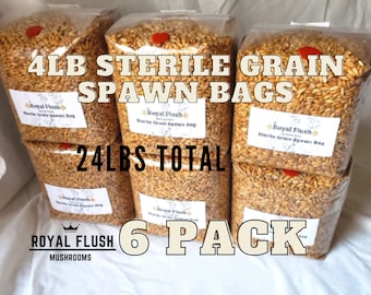 6er-Packung Sterile Körnerbrutbeutel mit Injektionsports - 24lbs