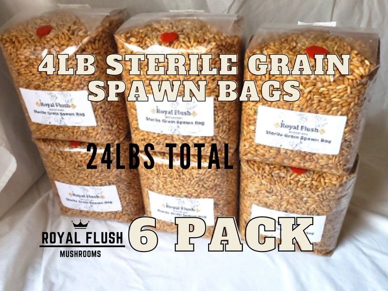 6 Pack of Sterile Grain Spawn Bags With Injection Ports 4lb Etsy Canada