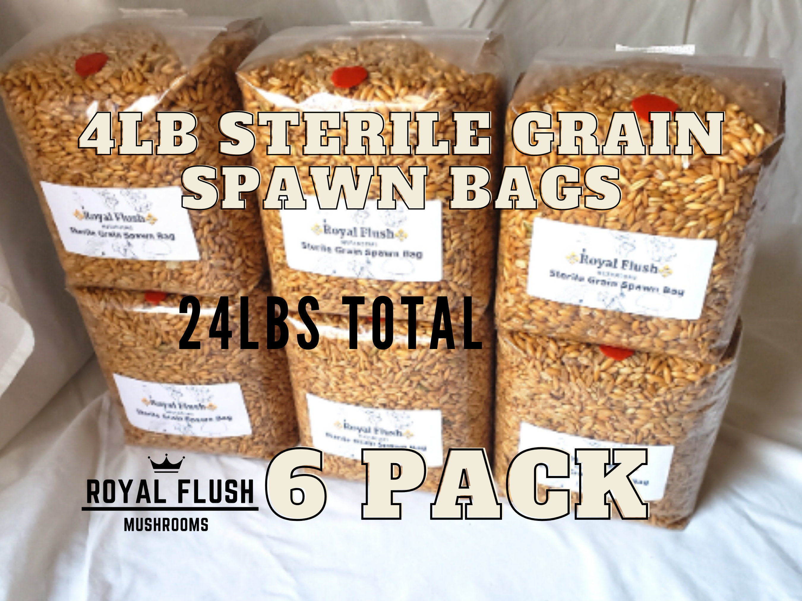 Instructions - Grain Spawn Bag