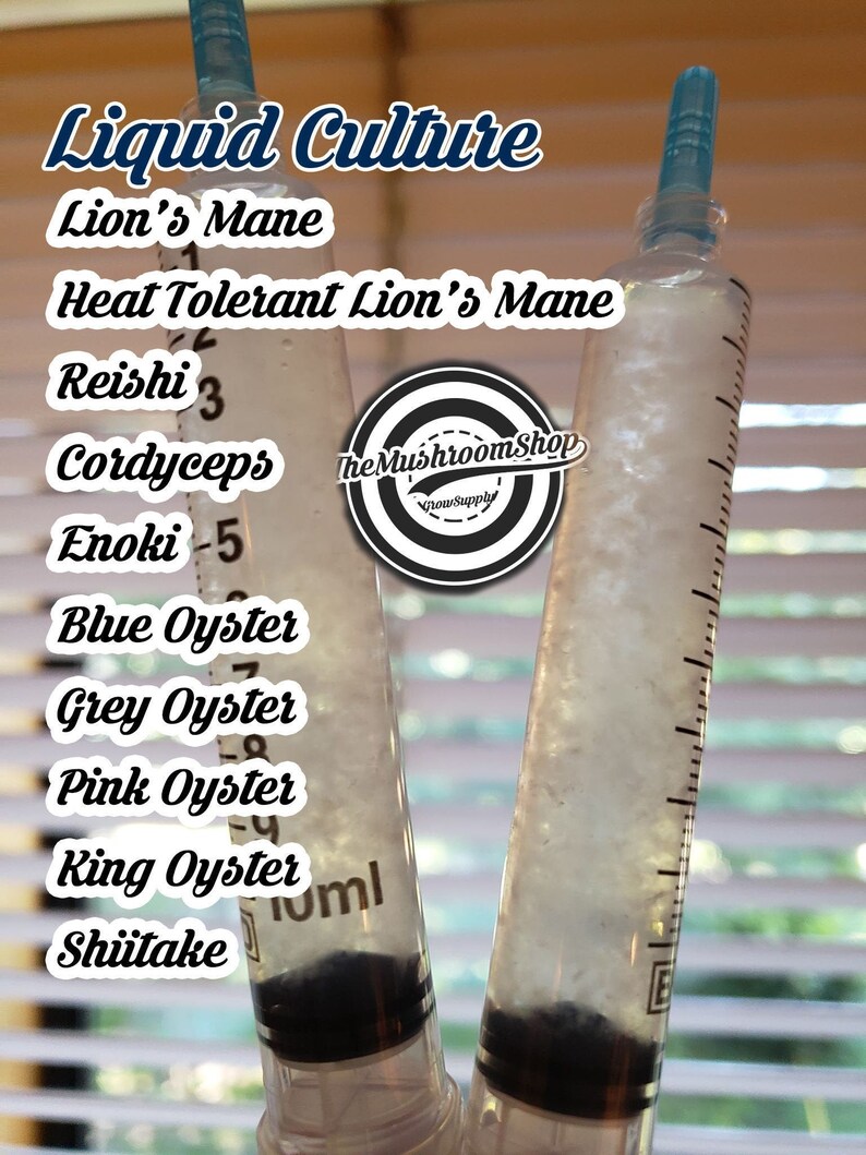 Mushroom Liquid Culture 16 Kinds 12ml Etsy