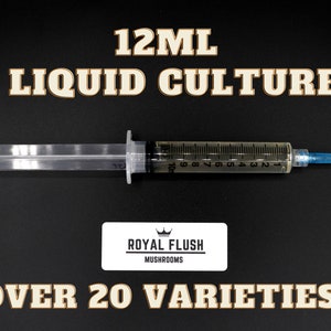Gourmet Mushroom Liquid Culture  (30+ Kinds) - 12ml