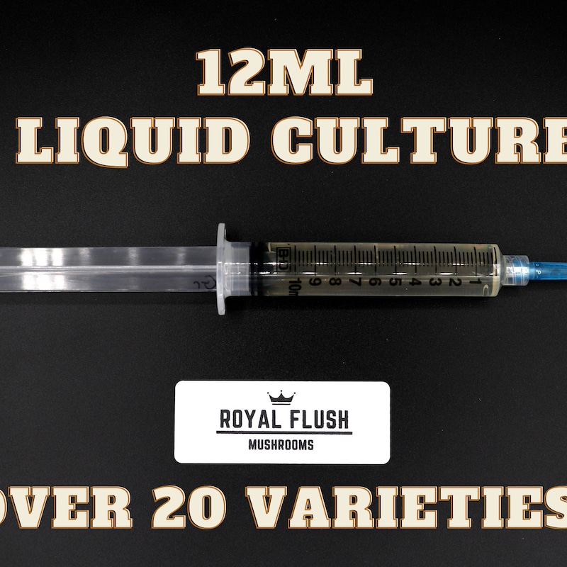 Shrooms Q Teen Stepsis Shrooms Q Needs Icing From Stepbro for Bake Sale