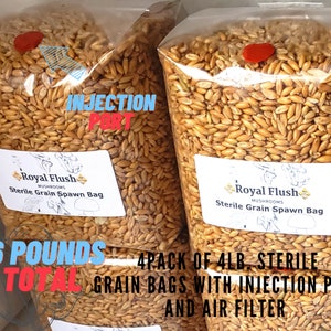 4 Sterile Grain Spawn Bags - 16lbs