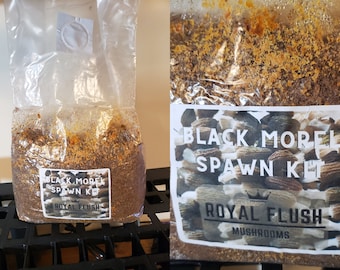 Morel Growing Kit - Spawn Kit for Outdoor Bed