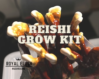 Może przedstawiać: Zbliżenie na zestaw do uprawy grzybów Reishi z czerwonym, pomarańczowym i białym owocnikiem. Zestaw jest oznaczony jako "Royal Flush Mushrooms".
