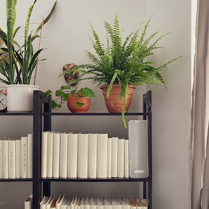 May include: A black bookshelf with three shelves filled with books. The top shelf has a potted fern plant, a potted snake plant, and a small wooden mask. The middle shelf has a speaker and a row of books with white covers. The bottom shelf has a row of books with white covers.