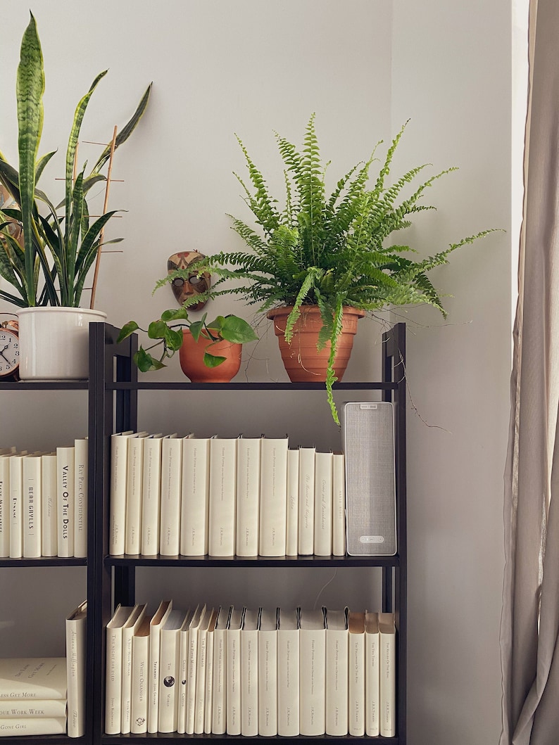 May include: A black bookshelf with three shelves filled with books. The top shelf has a potted fern plant, a potted snake plant, and a small wooden mask. The middle shelf has a speaker and a row of books with white covers. The bottom shelf has a row of books with white covers.