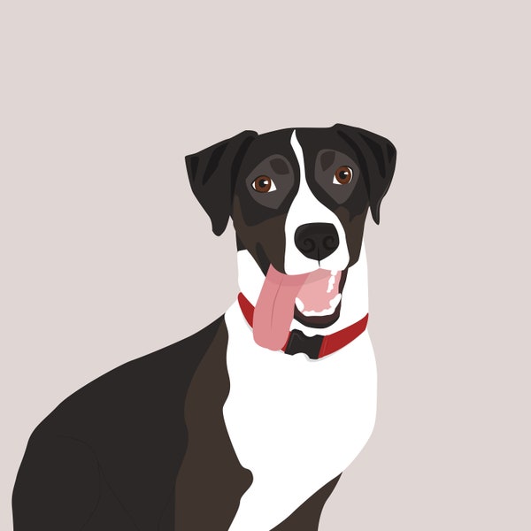 Custom Pet Illustration