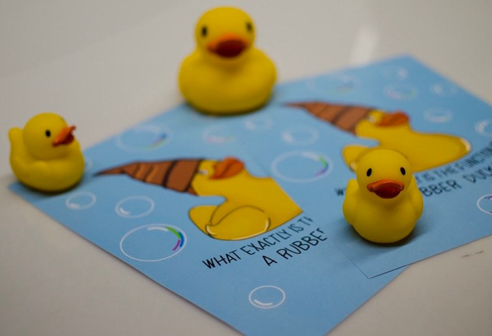 Function of a Rubber Duck Print Etsy