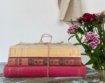 Vintage book bundle