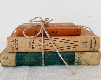 Vintage book bundle