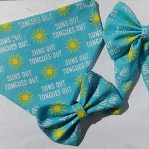 Summer sun pet accessories