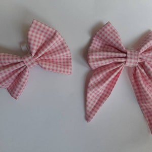 Pink picnic matching dog accessories