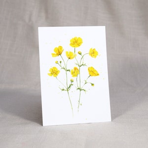 Carte postale 'renoncule'