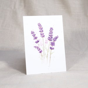 Postkarte Lavendel / Pflanzenkarte / Aquarellpostkarte