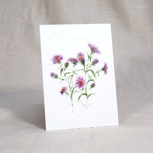 Carte postale 'Aster'