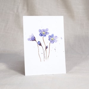Postkarte Leberblümchen / Aquarellkarte / Frühlingskarte
